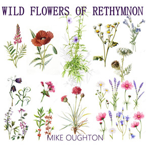 Wild Flowers of Rethymnon